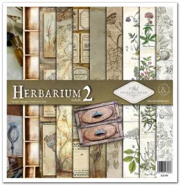 zestaw-papierow-30x30-itd-collection-herbarium-2