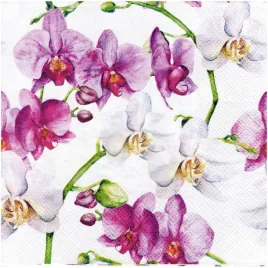 serwetka-do-decoupage-33x33cm-elegant-orchids-orchidea-storczyk-1szt