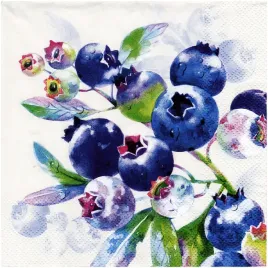 serwetka-do-decoupage-33x33cm-blueberry-fruits-borowka-1szt