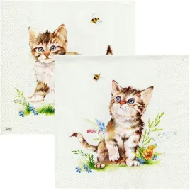 serwetka-do-decoupage-33x33cm-kira-kotki-1szt