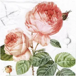 serwetka-do-decoupage-33x33cm-elisabeth-roze-1szt
