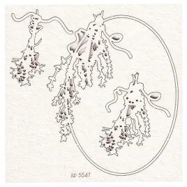 tekturka-herbal-phoenix-mala-owalna-ramka