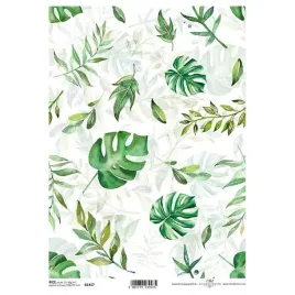 papier-ryzowy-do-decoupage-r1417-liscie-monstera