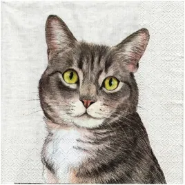 serwetka-do-decoupage-33x33cm-farm-cat-kot