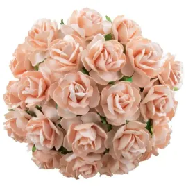 kwiaty-papierowe-dzikie-roze-brzoskwiniowe-30mm-50
