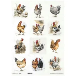 papier-ryzowy-do-decoupage-a3-r1185l-kury-i-koguty