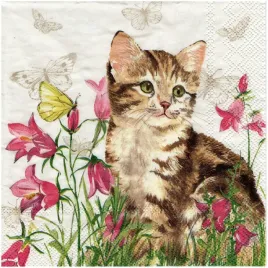 serwetka-do-decoupage-33x33cm-minka-kotek-na-lace