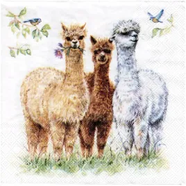 serwetka-do-decoupage-33x33cm-alpaca-friends-alpaki