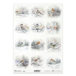 papier-ryzowy-do-decoupage-a4-r2491-zimowe-ptaki-rudzik-sikorka-wrobel