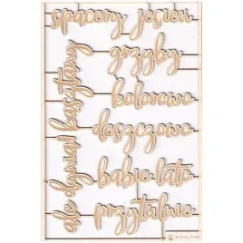 tekturki-scrapki-tekturka-napisy-9szt-p13
