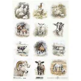papier-ryzowy-do-decoupage-a4-r2348-owce-konie-kozy