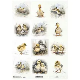 papier-ryzowy-do-decoupage-a4-r2347-kaczuszki-kurczaczki