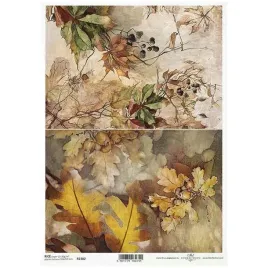 papier-ryzowy-do-decoupage-a4-r2302-jesienne-widoczki-rosliny-jesien