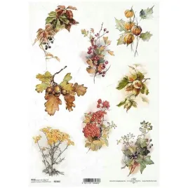 papier-ryzowy-do-decoupage-a4-r2303-liscie-debu-zoledzie-jarzebina