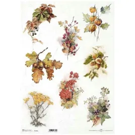 papier-ryzowy-do-decoupage-a3-r1142l-liscie-debu-zoledzie-bluszcz-jarzebina