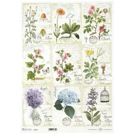 papier-ryzowy-decoupage-a3-922l-ziola-herbarium