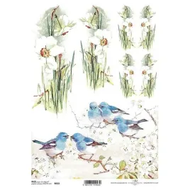 papier-ryzowy-decoupage-a4-itd-r0653-zonkile-ptaki
