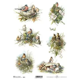 papier-ryzowy-do-decoupage-a4-r857-ptaki-gniazda