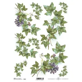 papier-ryzowy-a4-do-decoupage-itd-r0970-bluszcz