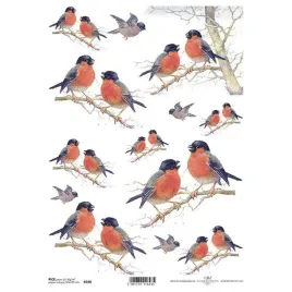papier-ryzowy-a4-do-decoupage-itd-r0590-ptaki