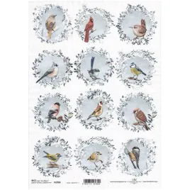 papier-ryzowy-do-decoupage-itd-r1968-ptaszki