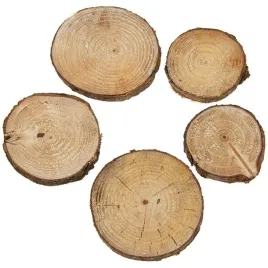 plastry-drewna-40g-5-6szt-drewniane-krazki