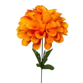 dalia-pojedyncza-pomaranczowa
