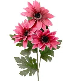 gazania-stokrotka-galazka-rozowa