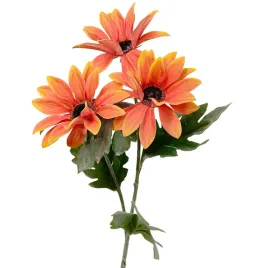 gazania-stokrotka-galazka-pomaranczowa