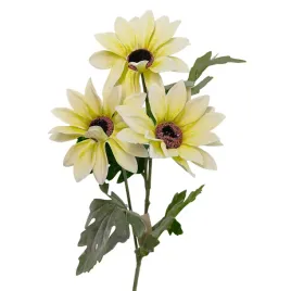 gazania-stokrotka-galazka-zolta