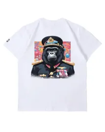 meska-koszulka-admiral-goryl-animal-society-fajny-nadruk-biala-l