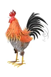 metalowy-kogut-figura-ogrodowa-kolorowy-kurczak-kura-dekoracja