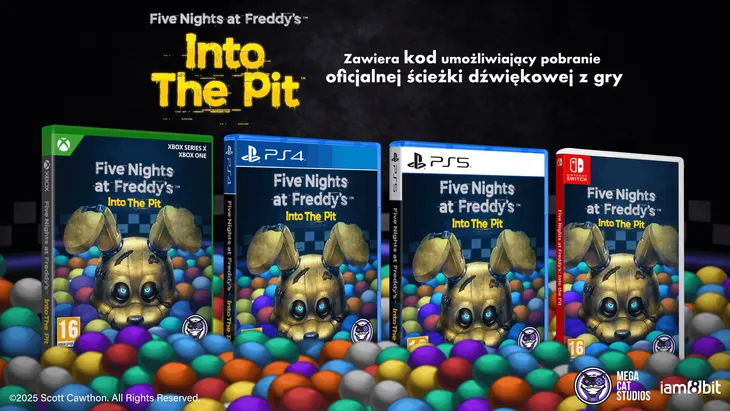 five-nights-at-freddy-s-into-the-pit-switch-wersja-gry-pudelkowa