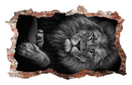 naklejki-na-sciane-lew-lion-lwy-widok-afryka-fototapeta-3d-dziura-115x75-4
