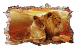 naklejki-na-sciane-lew-lion-lwy-widok-afryka-fototapeta-3d-dziura-115x75-3