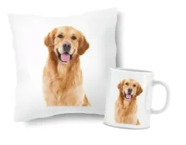 zestaw-poduszka-kubek-prezent-pies-piesek-golden-retriver-imie-18
