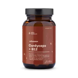 aura-herbals-mycodrop-cordyceps-30-1-b12-30percent-beta-glukan-60-kapsulek