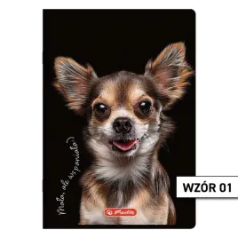 zeszyt-a5-w-linie-60-kartek-herlitz-animal-2025
