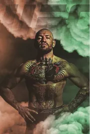obraz-na-plotnie-canvas-obraz-poster-ufc-conor-mcgregor-mma-70x50cm