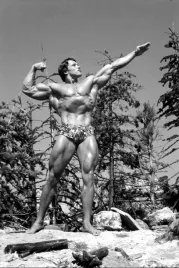 obraz-na-plotnie-canvas-arnold-schwarzenegger-kulturysta-70x50-cm