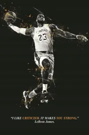 obraz-na-plotnie-canvas-nba-lebron-james-los-angeles-lakers-70x50cm
