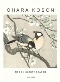 koson-tits-on-cherry-branch-obraz-na-plotnie-canvas-obraz-70x50