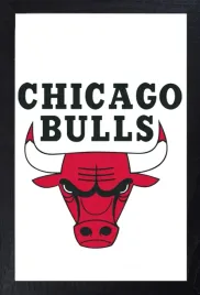 obraz-na-plotnie-canvas-w-ramie-chicago-bulls-40x30-cm-7