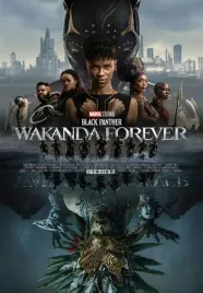 obraz-na-plotnie-canvas-black-panther-wakanda-forever-100x70cm