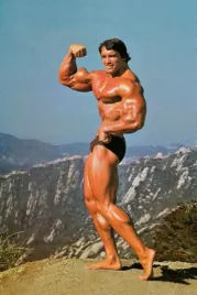 obraz-na-plotnie-canvas-arnold-schwarzenegger-kulturysta-100x70-cm
