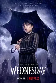 obraz-na-plotnie-canvas-obraz-wednesday-addams-family-100x70cm-193