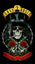 plakat-guns-n-roses-logo-appetite-hard-rock-30x21-cm