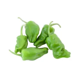 papryka-padron-zielona-ok-200-g