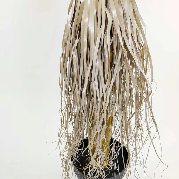 jukka-rostrata-90cm-wysokosc-90-cm