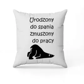 biala-poduszka-swiateczna-z-nadrukiem-prezent-dla-lenia-spiocha-len-imie